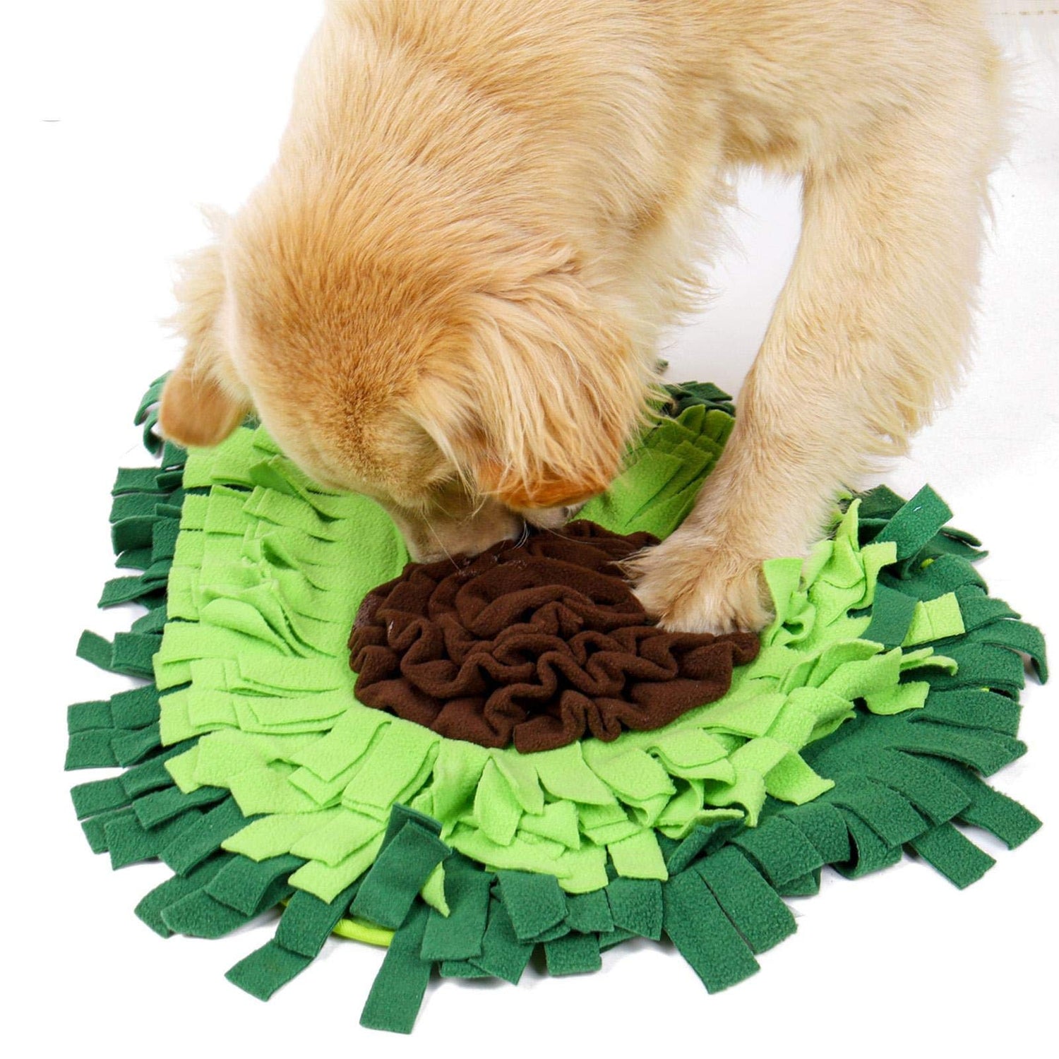 Nutrition