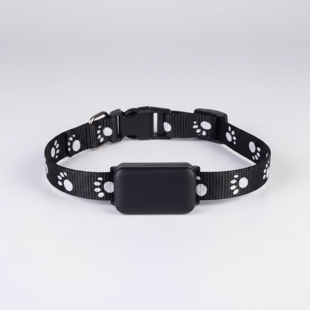 Black dog collar with white paw prints on a white background