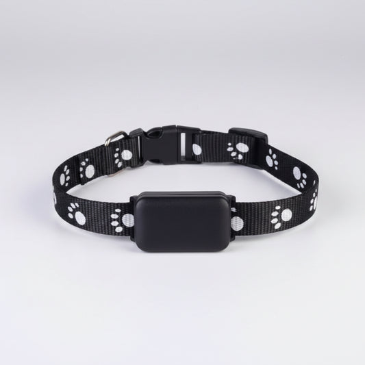 Black dog collar with white paw prints on a white background