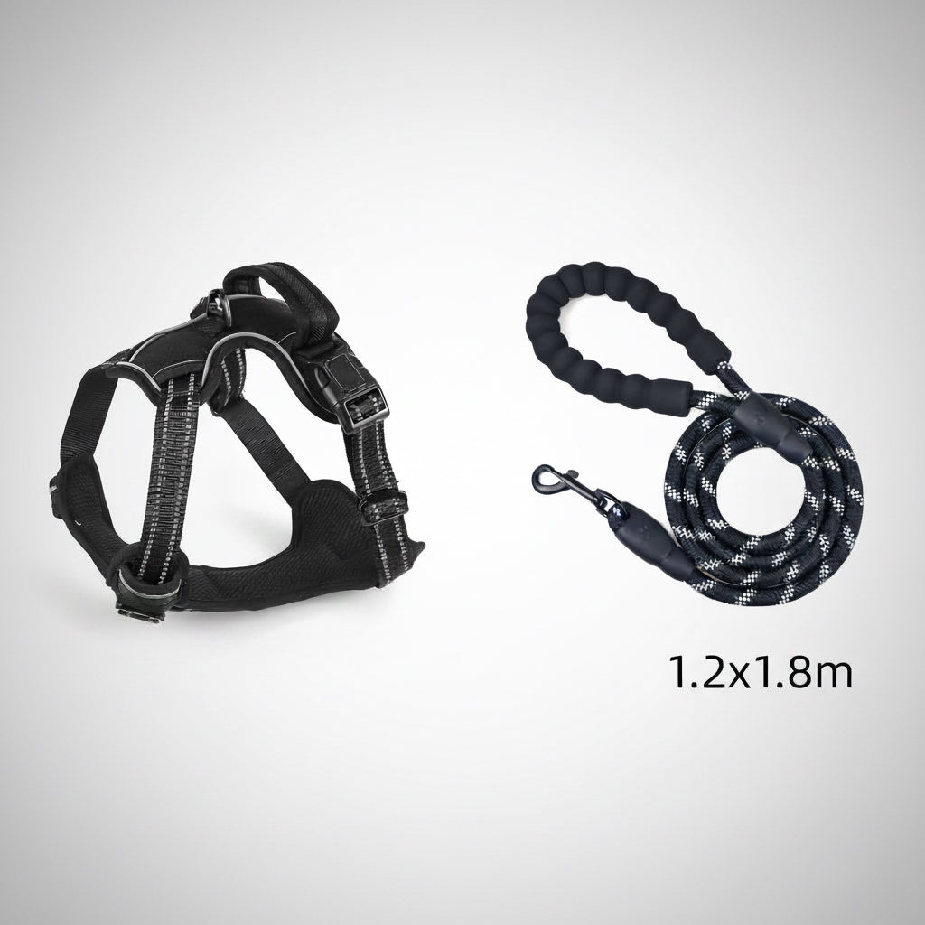 Black dog harness and leash set on a white background