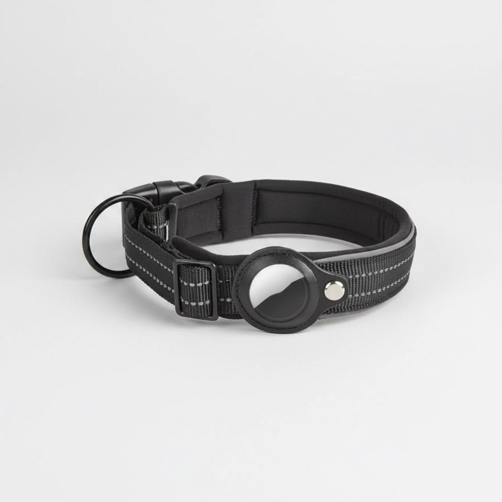 Black dog collar with reflective strip on a white background