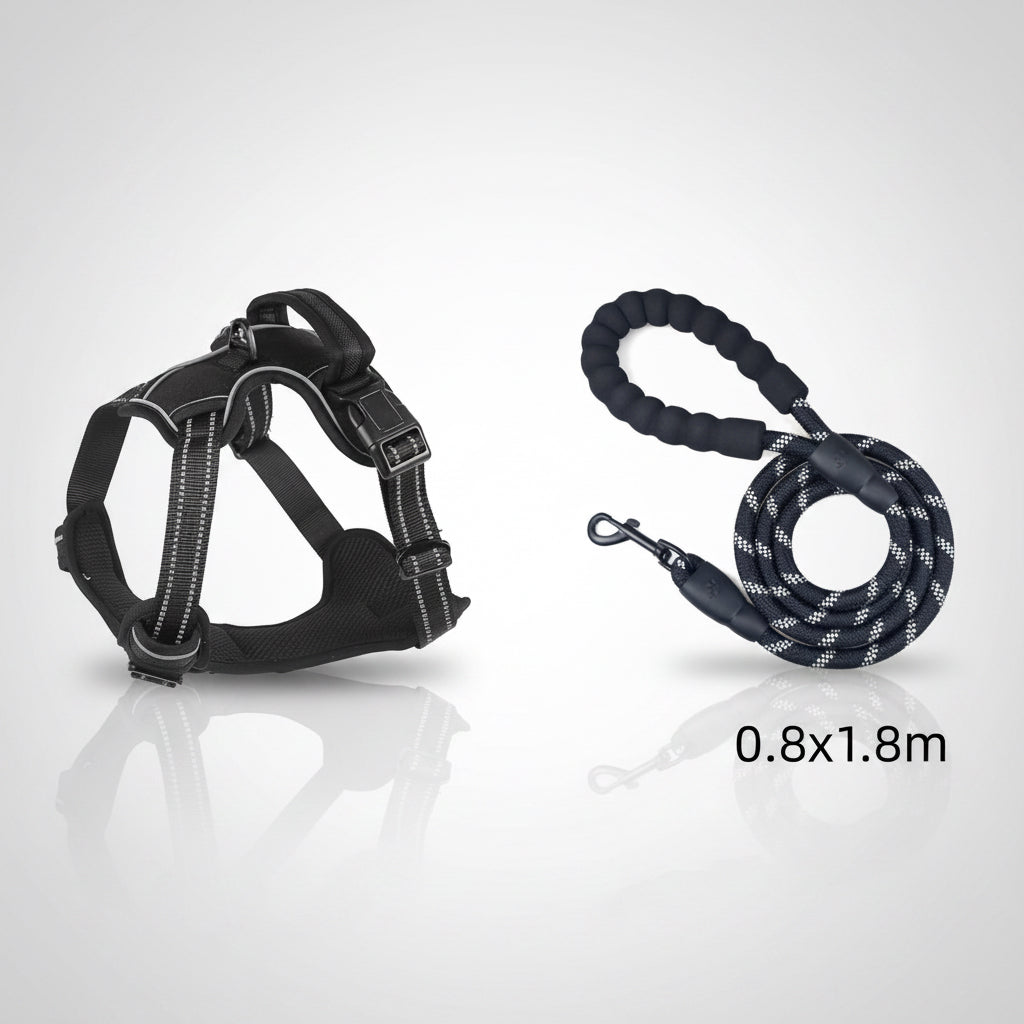 Black dog harness and leash set on a white background