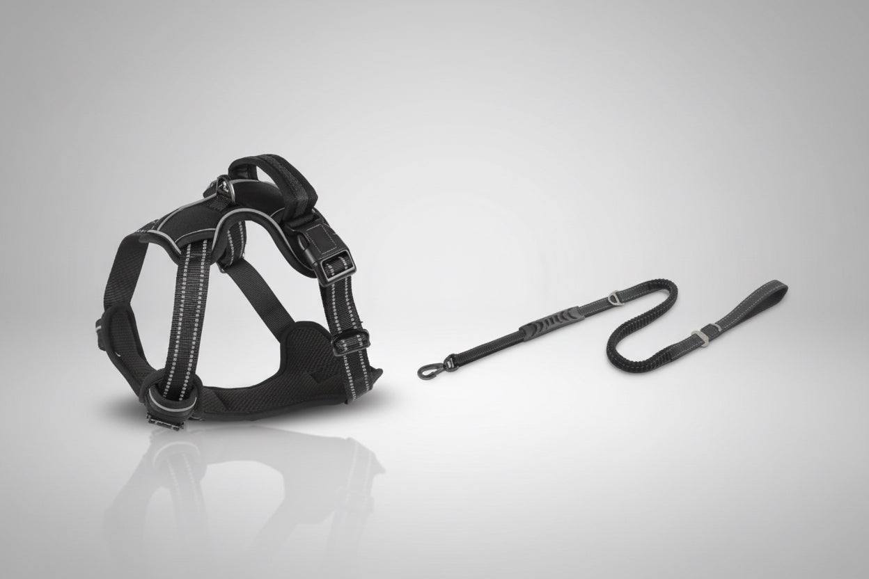 Black dog harness and leash on a white background