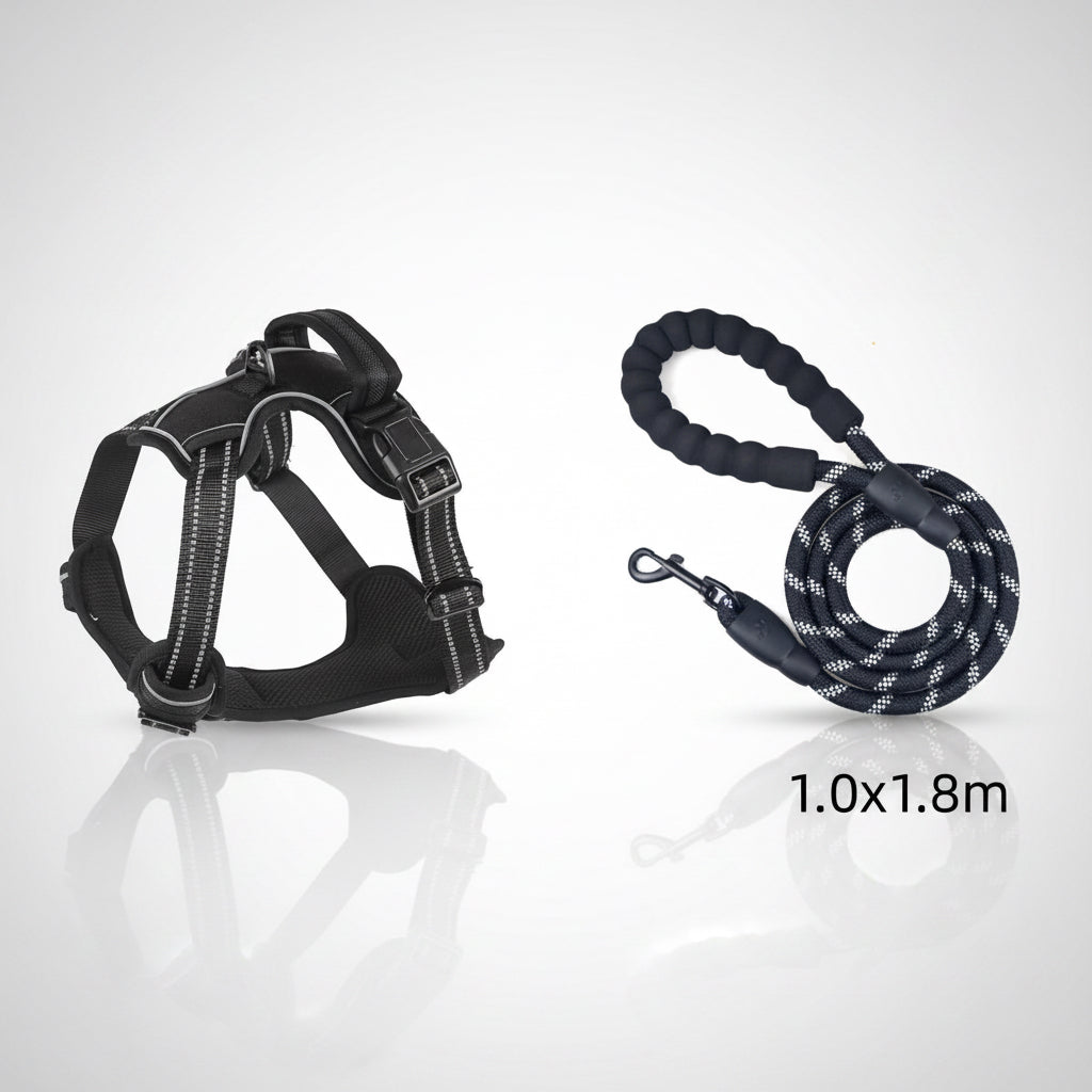 Black dog harness and leash set on a white background