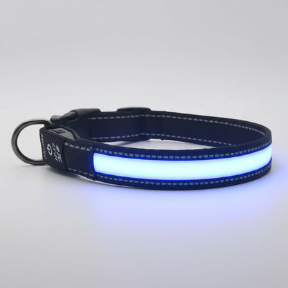 Dog collar with blue reflective strip on a white background