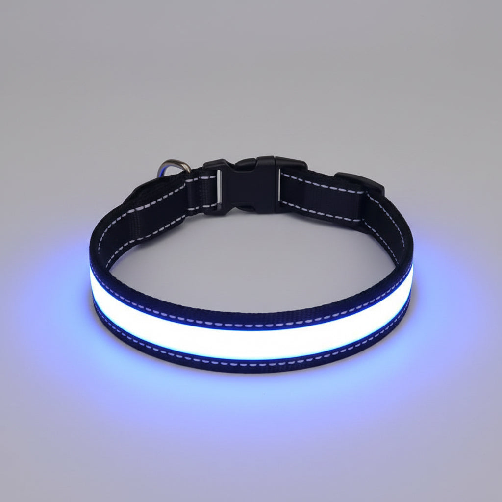 Blue LED dog collar on a wooden surface