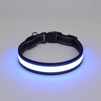 Blue LED dog collar on a wooden surface