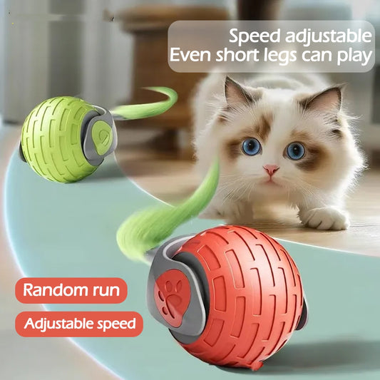 Cat playing with a green and red toy ball on a light blue surface.