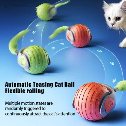 Automatic teasing cat ball with colorful design and a cat on a blue background
