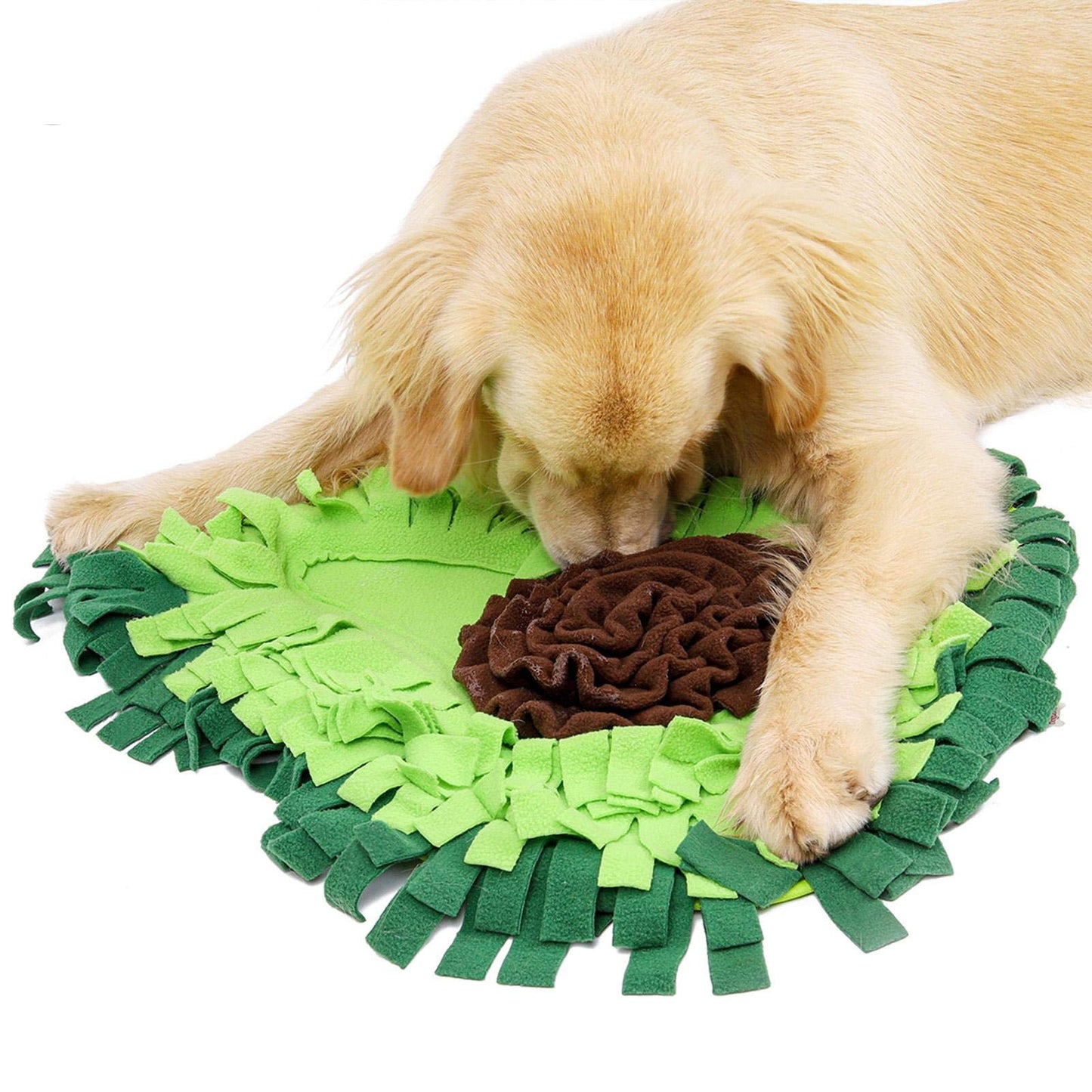 Dog playing with a green and brown snuffle mat on a white background