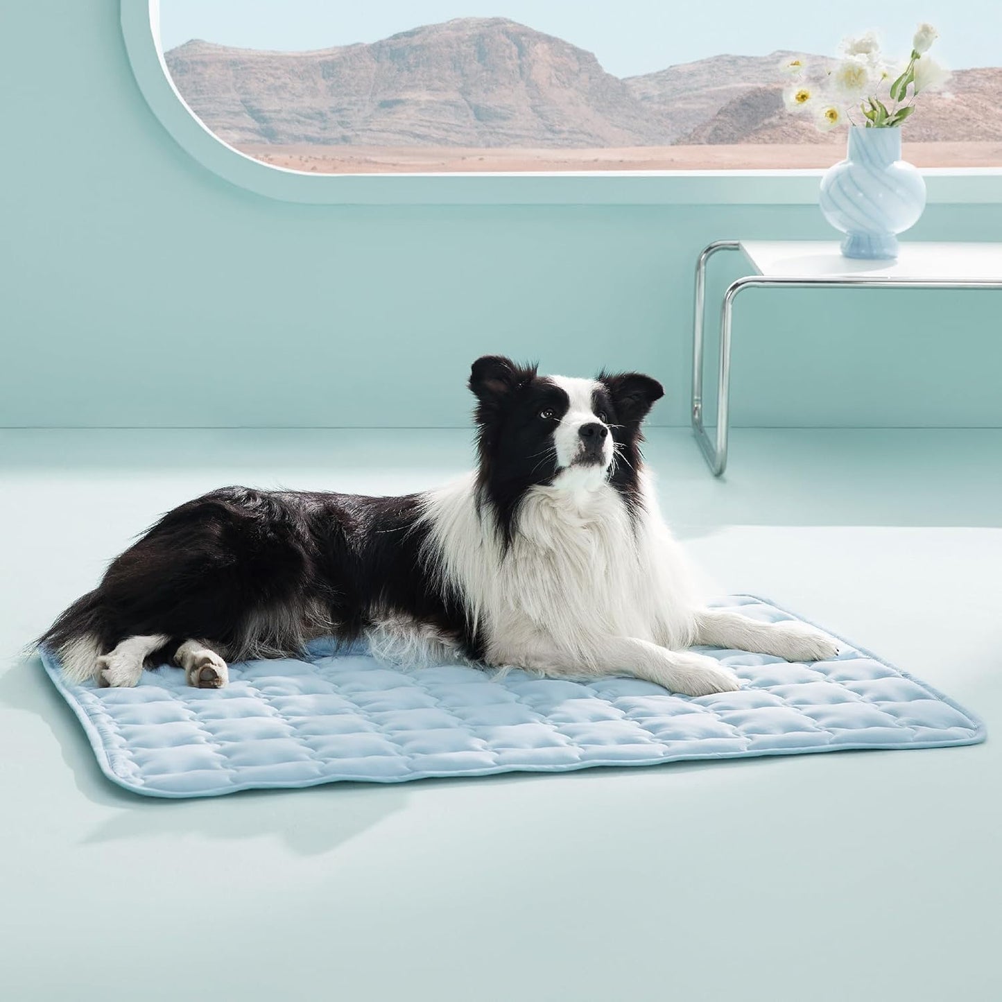 Dog lying on a blue pet mat with a mountain view in the background