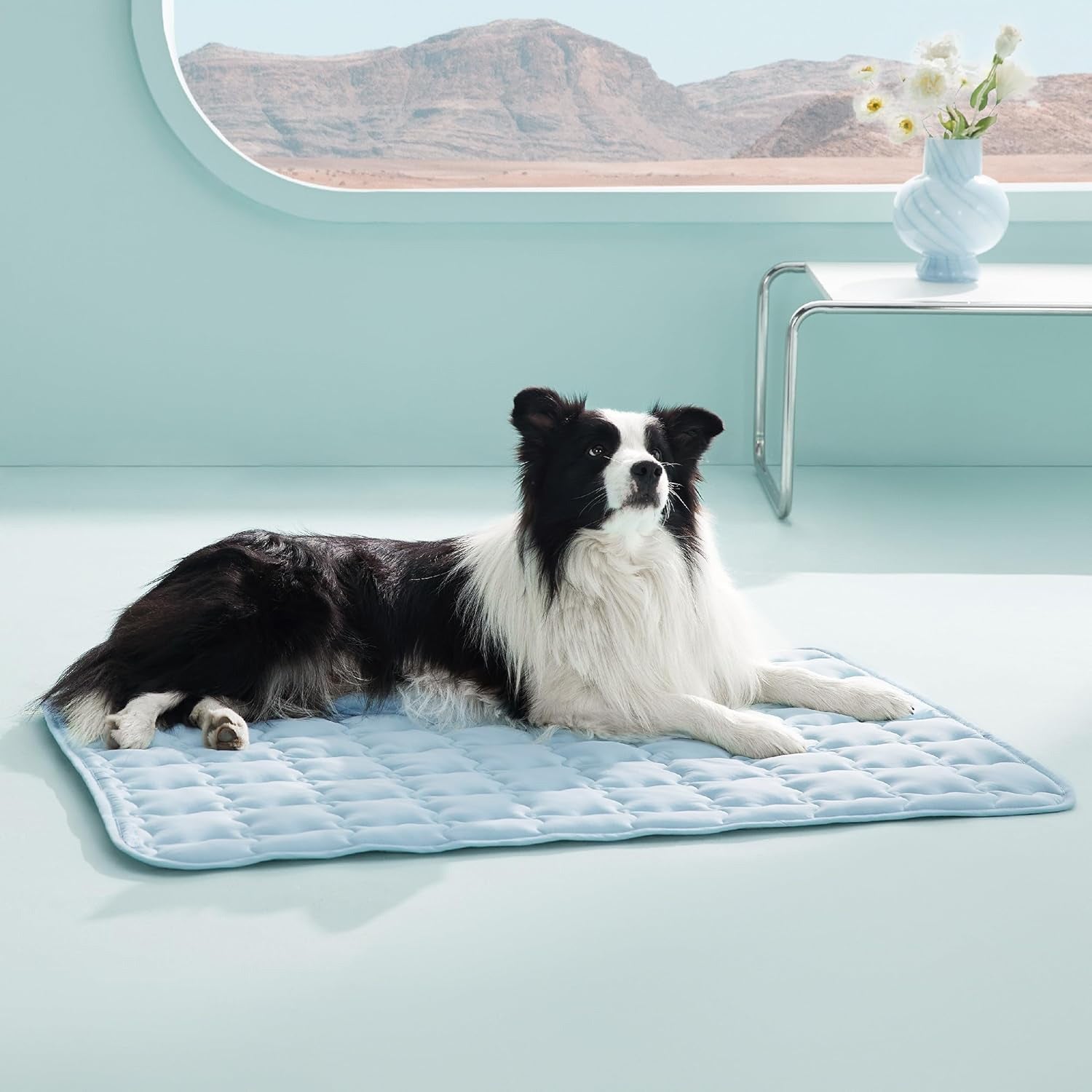 Dog lying on a blue pet mat with a mountain view in the background