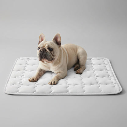 Dog lying on a quilted mat