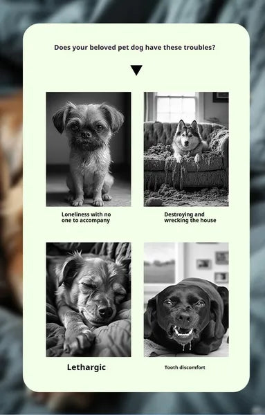 Card with images of dogs and text describing their troubles, on a textured gray background.