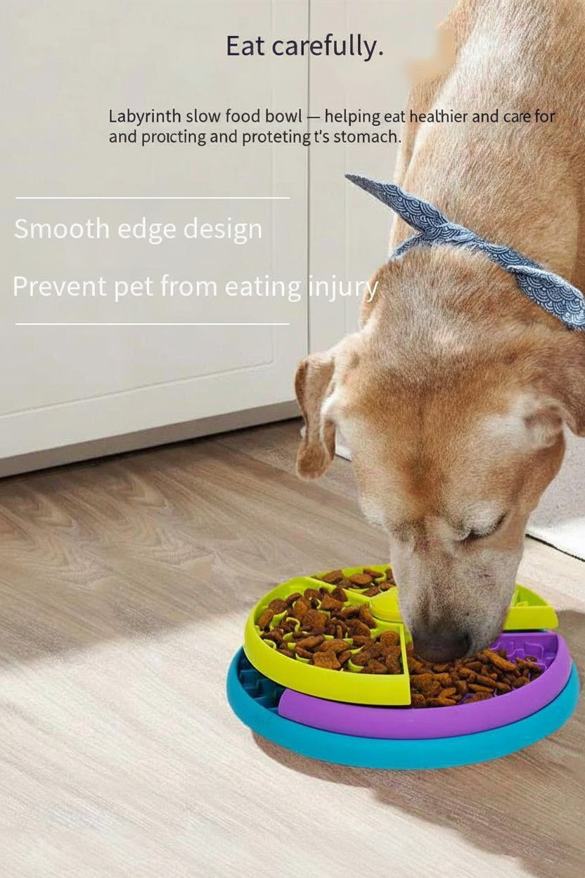 Dog eating from a colorful labyrinth slow food bowl on a wooden floor.