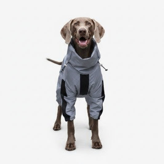 Dog wearing a gray raincoat on a white background