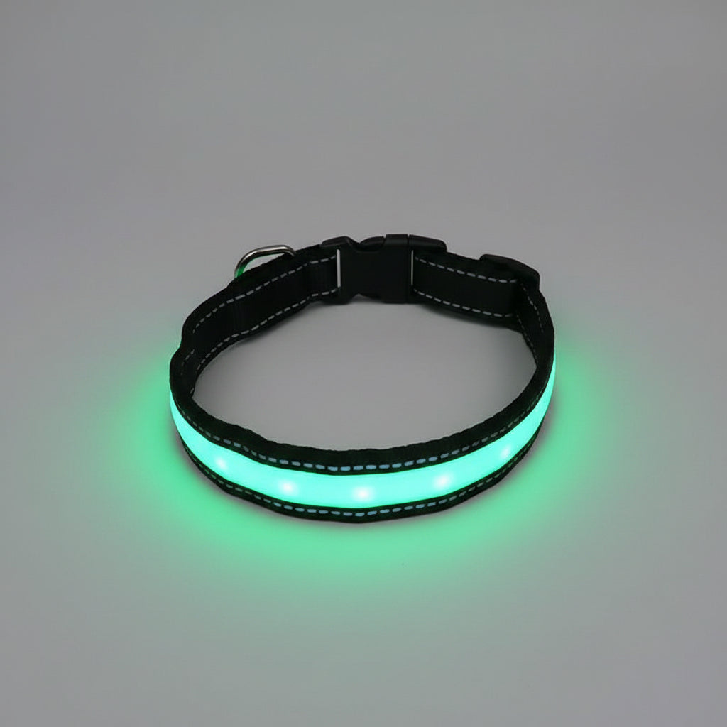 Glowing green dog collar on a wooden surface