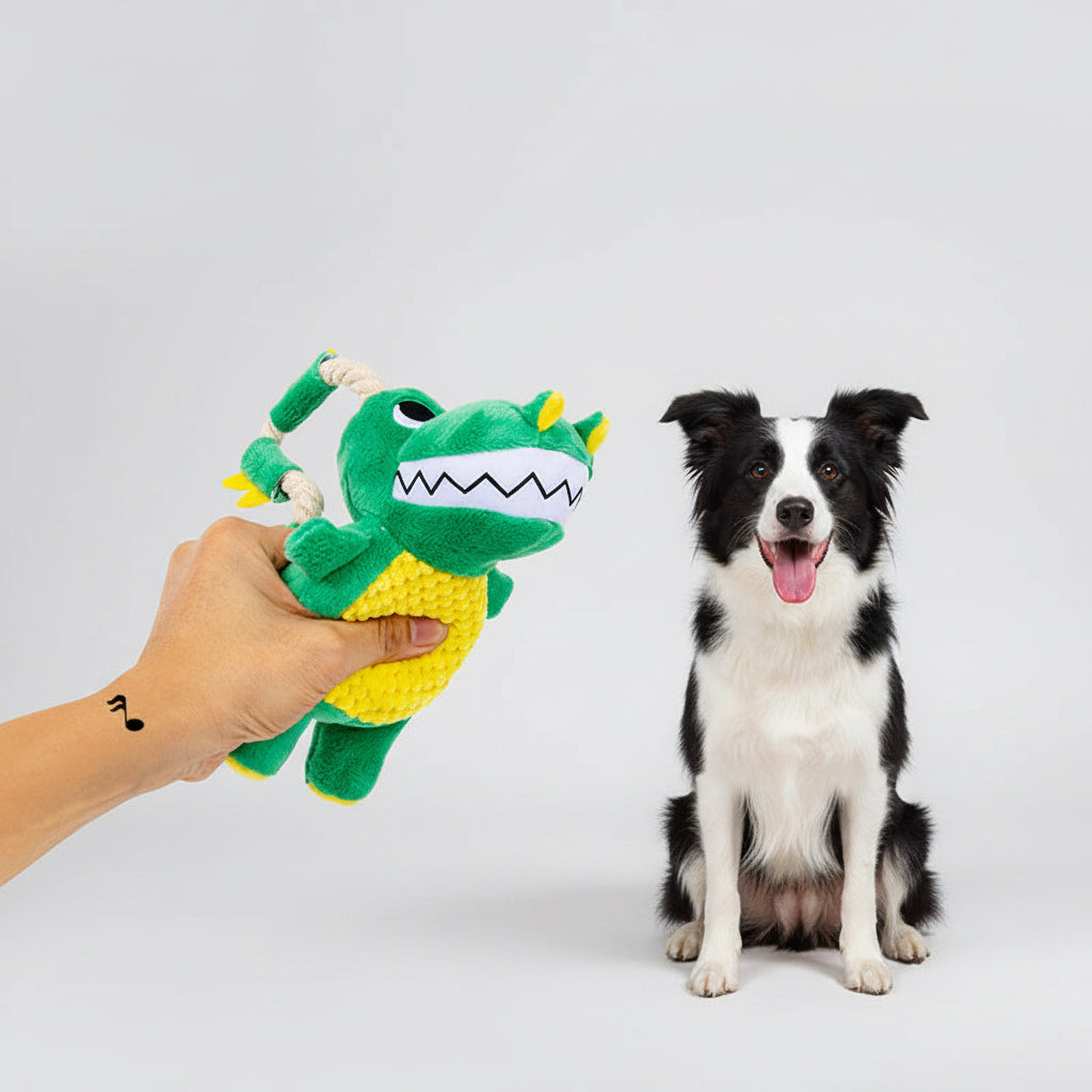 Green and yellow dog toy with a hand holding it, next to a dog and an inset showing a small white object.