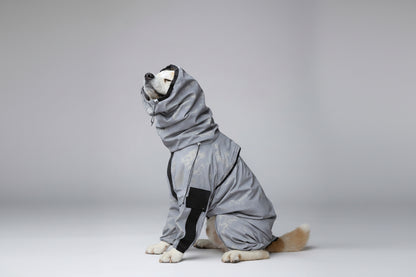 Dog wearing a gray raincoat on a carpeted floor.