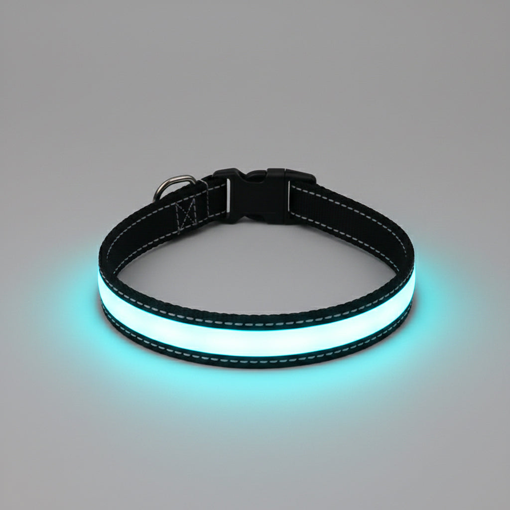 Glowing blue dog collar on a wooden surface