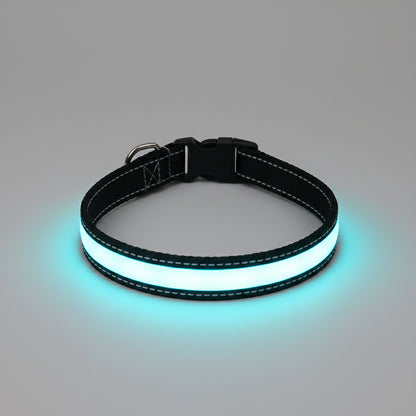 Glowing blue dog collar on a wooden surface