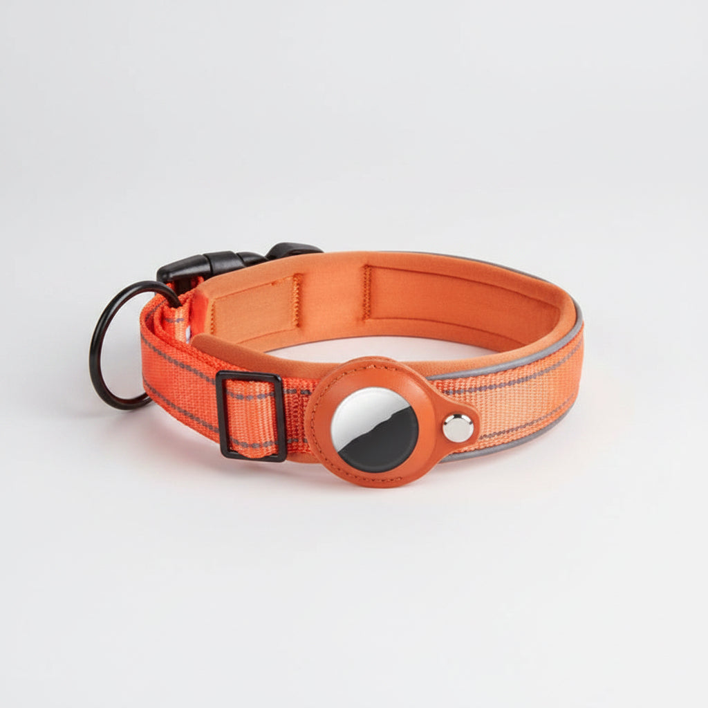 Orange dog collar with reflective strip on a white background