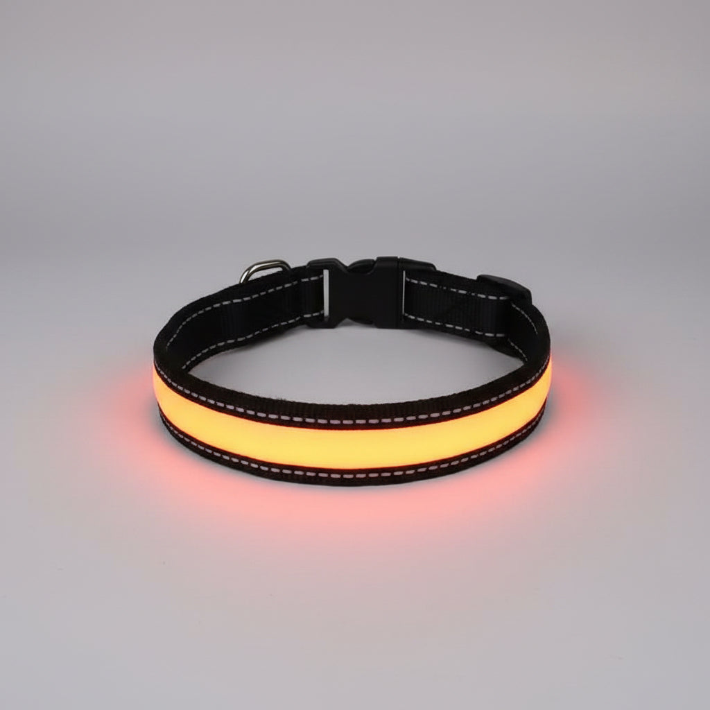 Orange dog collar with reflective stitching on a wooden surface