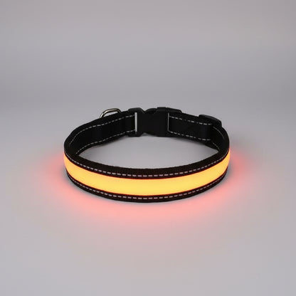 Orange dog collar with reflective stitching on a wooden surface