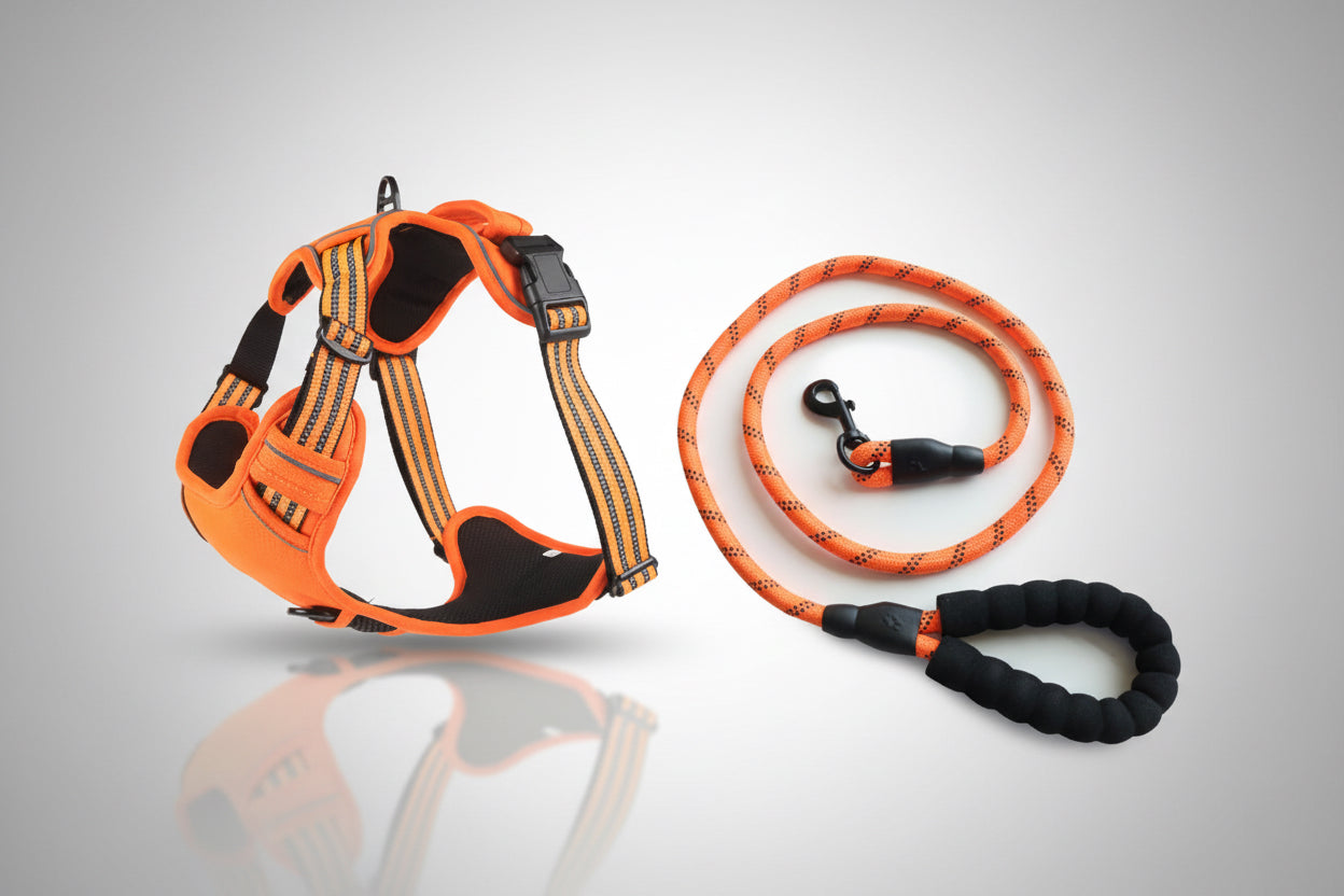 Orange and black dog harness and leash set on a white background