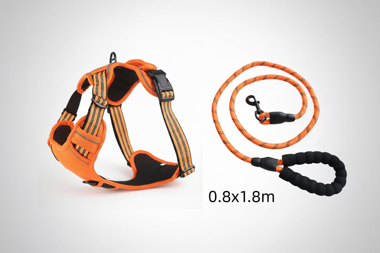 Orange dog harness and leash set on a white background
