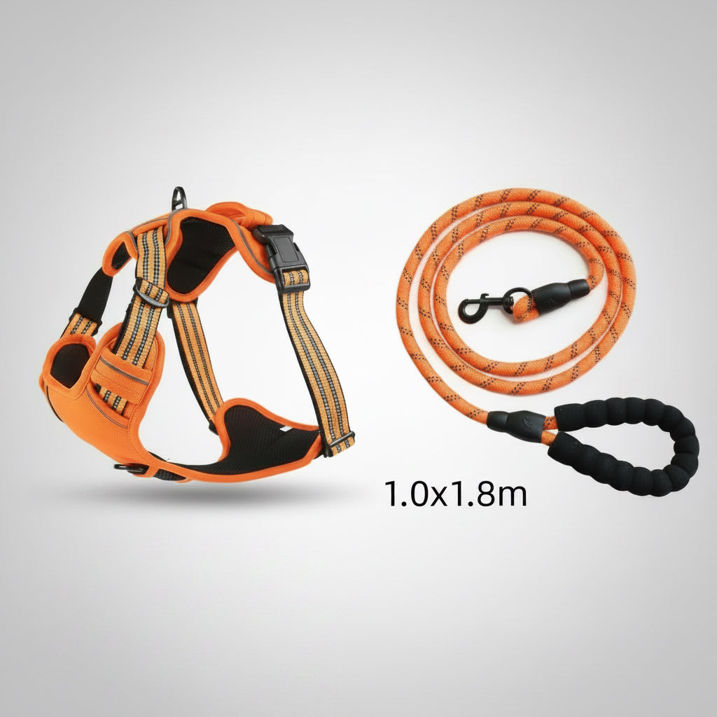 Orange dog harness and leash set on a white background