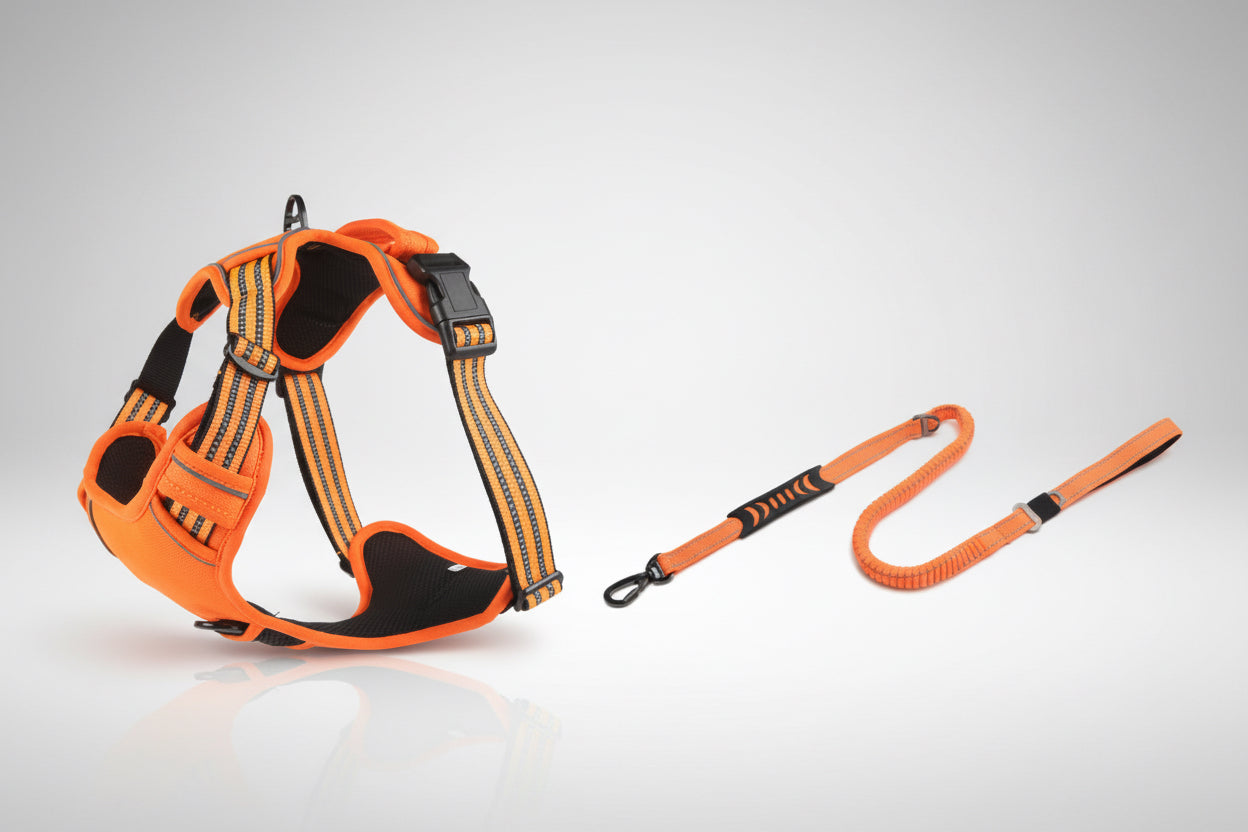 Orange dog harness and leash set on a white background