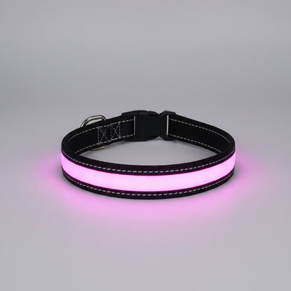 Pink LED dog collar on a wooden surface