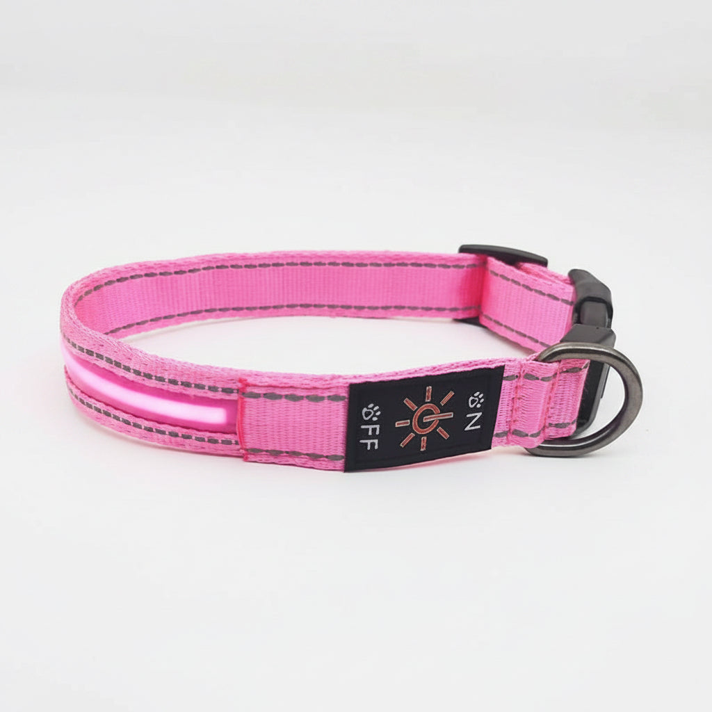 Pink dog collar with a black tag on a white background