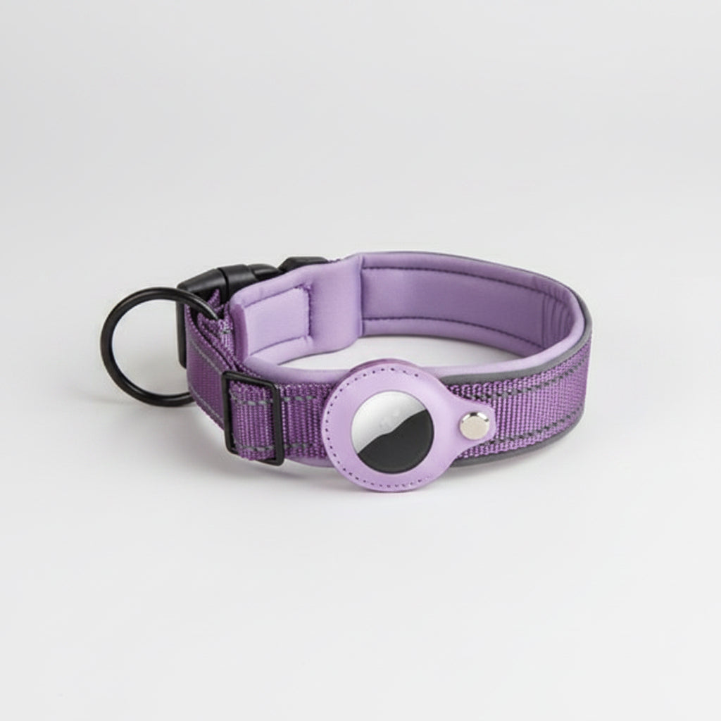 Purple dog collar with reflective material on a white background