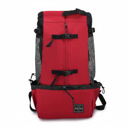 Red backpack with black straps on a white background