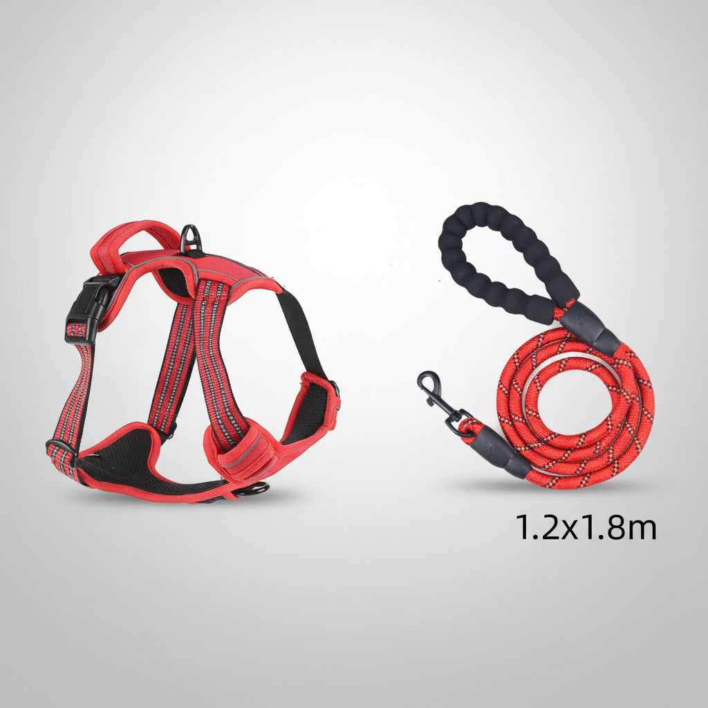 Red dog harness and leash set on a white background