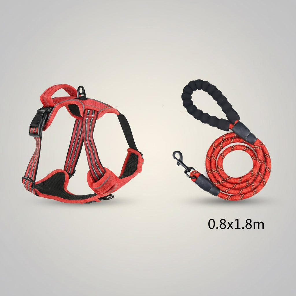 Red dog harness and leash set on a white background