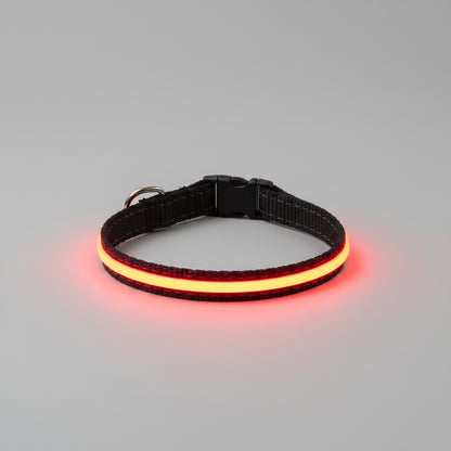 Glowing LED dog collar on a wooden surface with 'red' text above.