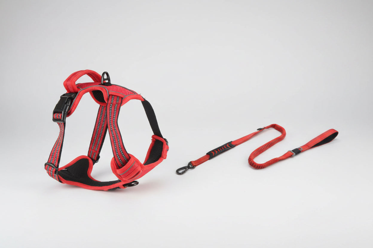 Red and black dog harness and leash set on a white background
