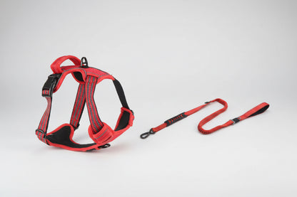Red and black dog harness and leash set on a white background