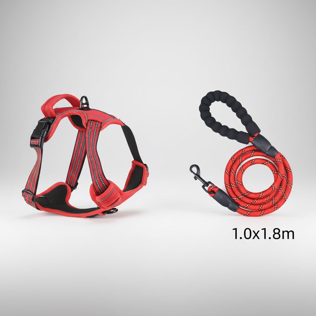 Red dog harness and leash set on a white background