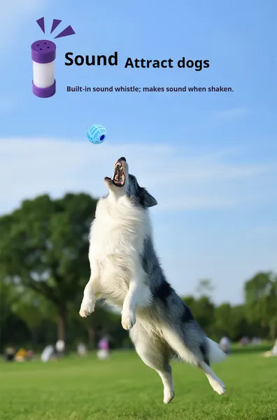 Dog playing with a toy in a park with a product labeled 'Sound Attract dogs' in the background.