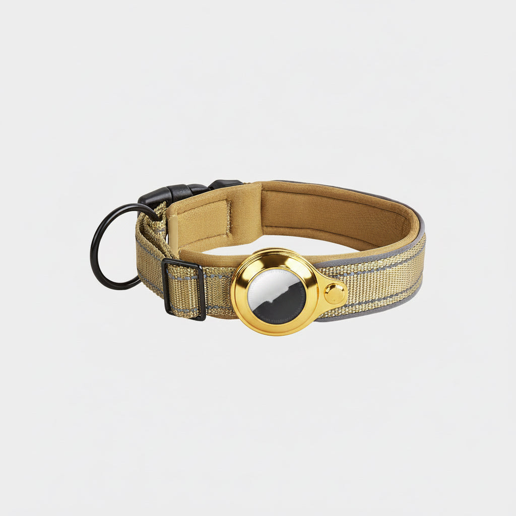 Tan dog collar with reflective strip on a white background