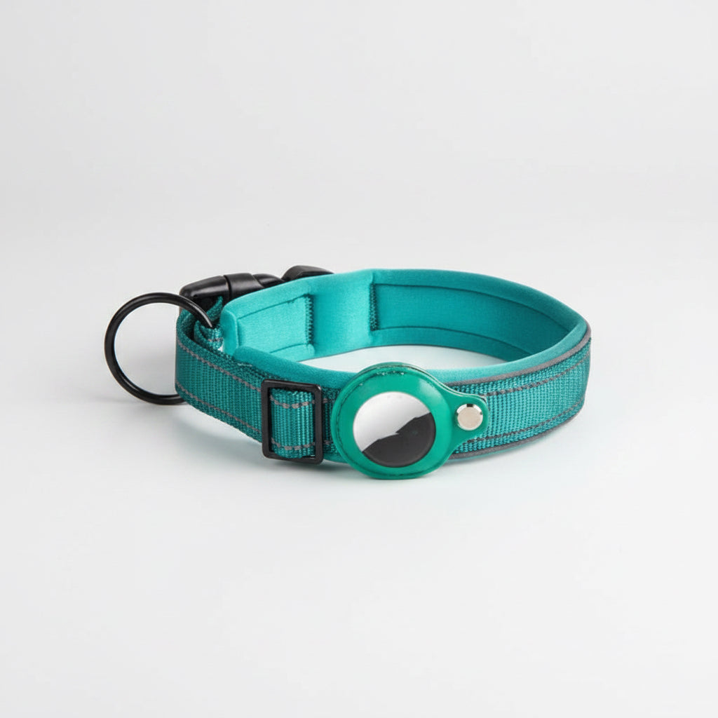 Teal dog collar with a reflective strip on a white background