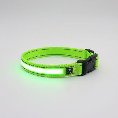 Green dog collar with a black label on a white background