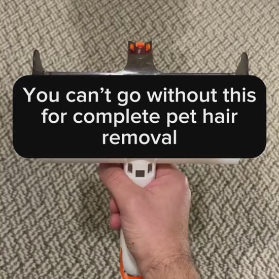 Removal-Pet-video