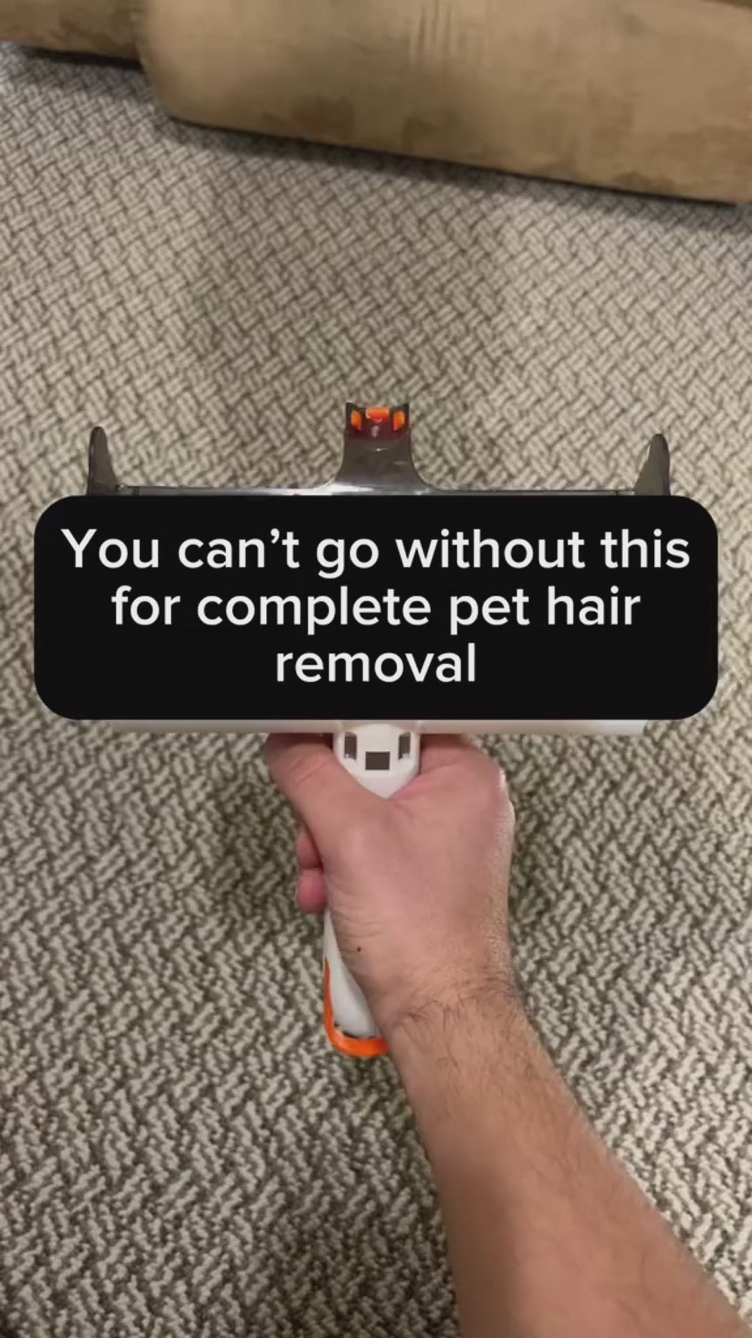 Removal-Pet-video