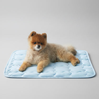 Small dog lying on a blue cooling pad
